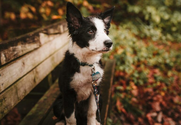 The Chilling Digital Reality