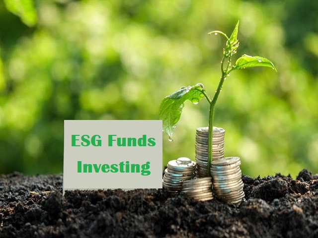 Solving the ESG Conundrum
